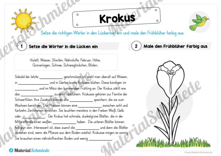 Materialpaket Krokus (Vorschau 03)