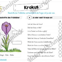 Materialpaket Krokus (Vorschau 04)