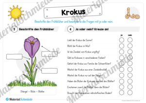 Materialpaket Krokus (Vorschau 04)