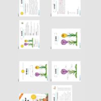 Materialpaket Krokus (Überblick)