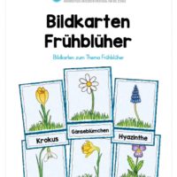Bildkarten Frühblüher