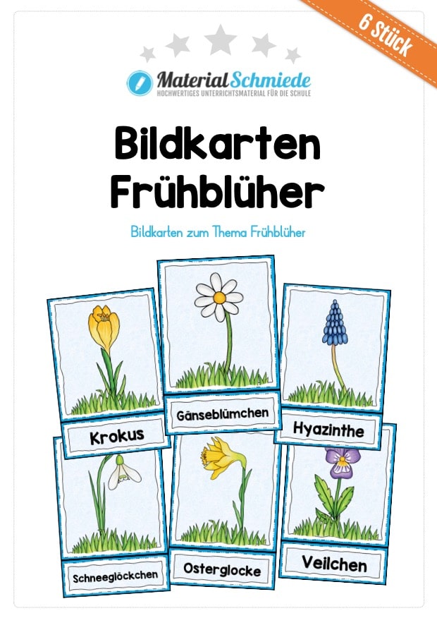 Bildkarten Frühblüher