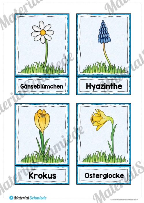 Bildkarten Frühblüher (Vorschau)