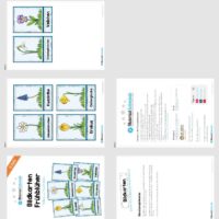 Bildkarten Frühblüher (Überblick)