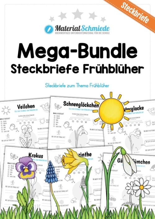 Mega-Bundle: Steckbriefe Frühblüher (6 Arbeitsblätter)