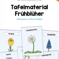 Tafelmaterial Frühblüher