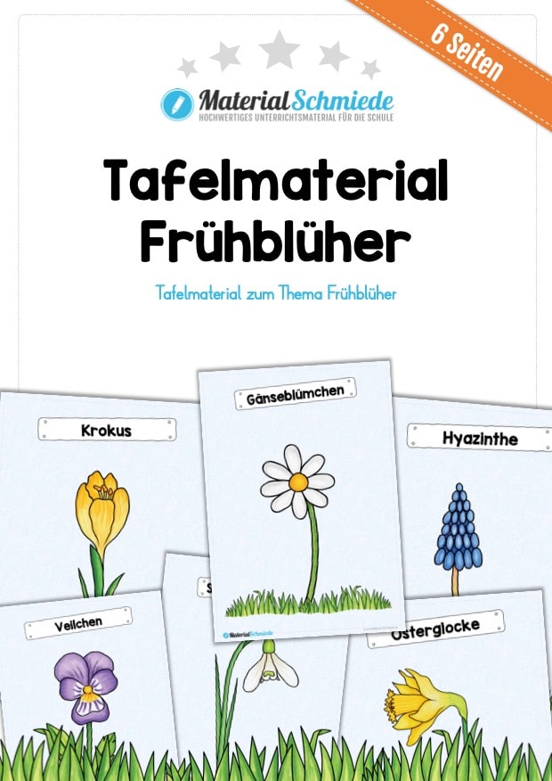 Tafelmaterial Frühblüher