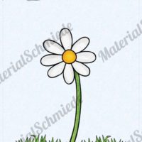 Tafelmaterial Frühblüher (Vorschau Gänseblümchen)