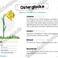 Materialpaket Osterglocke (Vorschau 02)