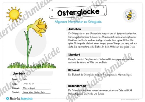 Materialpaket Osterglocke (Vorschau 02)
