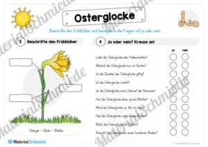 Materialpaket Osterglocke (Vorschau 04)