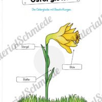 Materialpaket Osterglocke (Vorschau 05)