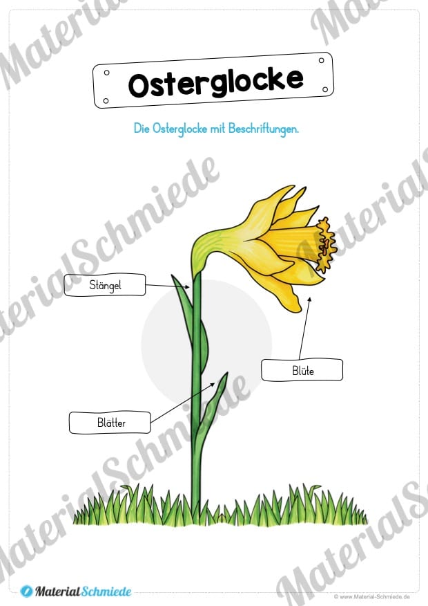 Materialpaket Osterglocke (Vorschau 05)