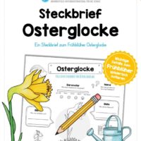 Steckbrief Osterglocke
