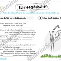 Materialpaket Schneeglöckchen (Vorschau 03)