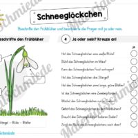 Materialpaket Schneeglöckchen (Vorschau 04)