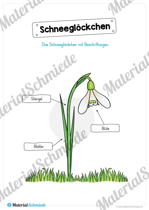 Materialpaket Schneeglöckchen (Vorschau 05)