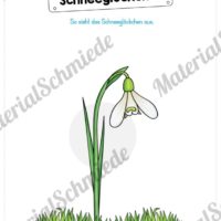 Materialpaket Schneeglöckchen (Vorschau 06)