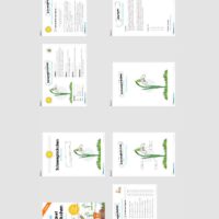 Materialpaket Schneeglöckchen (Überblick)