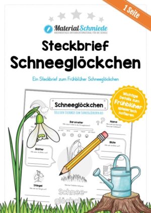 Steckbrief Schneeglöckchen