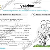Materialpaket Veilchen (Vorschau 03)