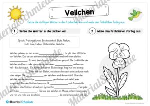 Materialpaket Veilchen (Vorschau 03)