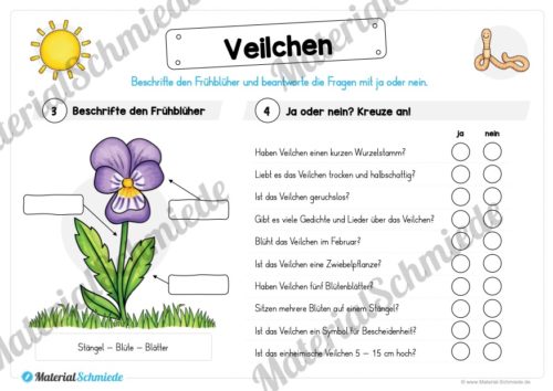 Materialpaket Veilchen (Vorschau 04)