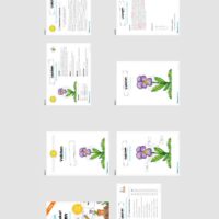 Materialpaket Veilchen (Überblick)