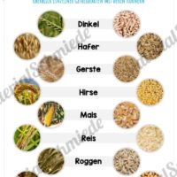 MaterialPaket: Getreide (Vorschau 04)