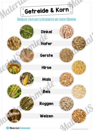 MaterialPaket: Getreide (Vorschau 04)