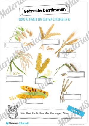 MaterialPaket: Getreide (Vorschau 06)