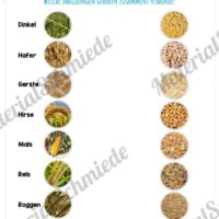 MaterialPaket: Getreide (Vorschau 07)