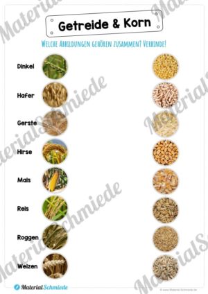 MaterialPaket: Getreide (Vorschau 07)