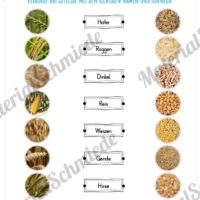 MaterialPaket: Getreide (Vorschau 10)