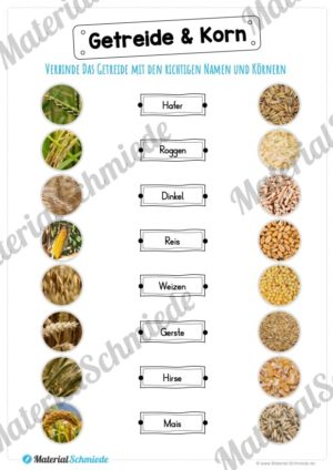 MaterialPaket: Getreide (Vorschau 10)