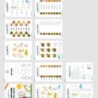 Getreide Materialpaket: 10 Arbeitsblätter zu Getreidesorten (Überblick)