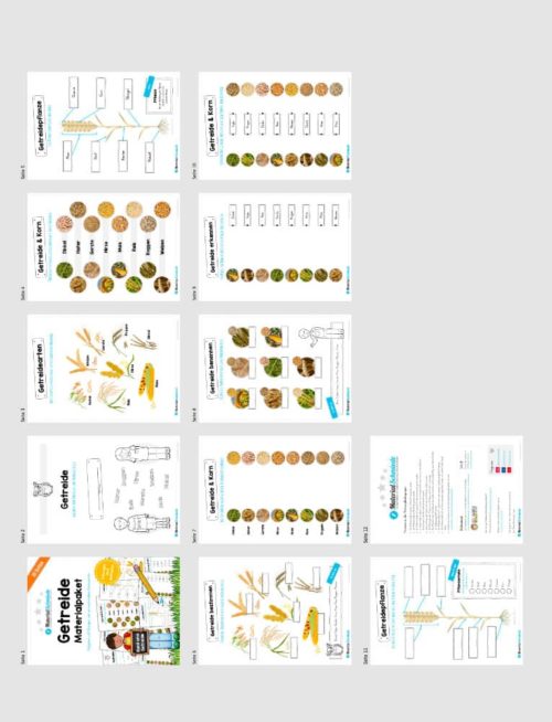 Getreide Materialpaket: 10 Arbeitsblätter zu Getreidesorten (Überblick)