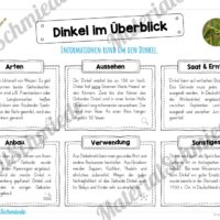 MaterialPaket: Getreide Dinkel (Vorschau 03)