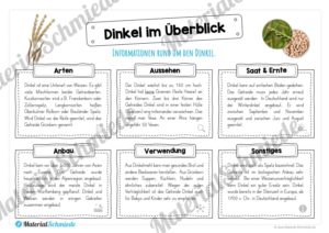 MaterialPaket: Getreide Dinkel (Vorschau 03)