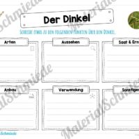 MaterialPaket: Getreide Dinkel (Vorschau 04)