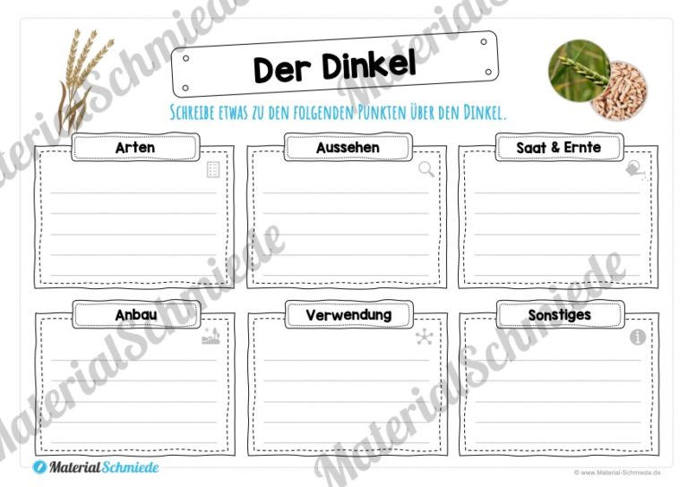 MaterialPaket: Getreide Dinkel (Vorschau 04)