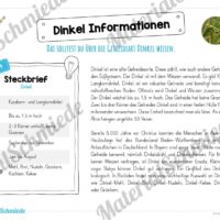 MaterialPaket: Getreide Dinkel (Vorschau 05)