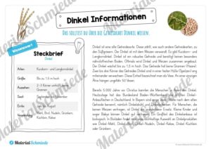 MaterialPaket: Getreide Dinkel (Vorschau 05)