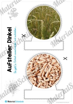 MaterialPaket: Getreide Dinkel (Vorschau 10)