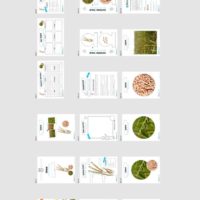 MaterialPaket: Getreide Dinkel (Überblick)