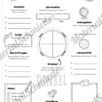 Steckbrief Dinkel (Vorschau)