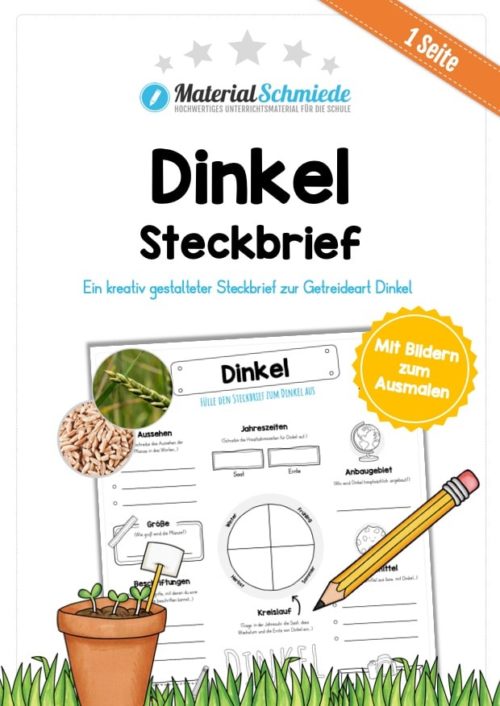Steckbrief Dinkel