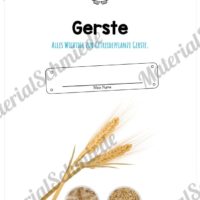 MaterialPaket: Getreide Gerste (Vorschau 01)