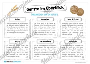 MaterialPaket: Getreide Gerste (Vorschau 03)