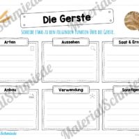 MaterialPaket: Getreide Gerste (Vorschau 04)